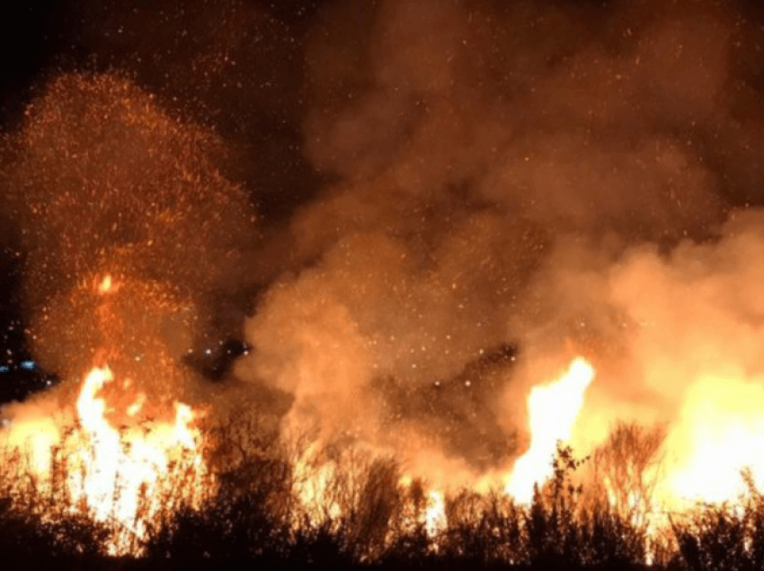 Zjarri në Gjirokastër, flet kreu i zjarrëfikëses: Po punojmë me pompa shpine, është terren i vështirë