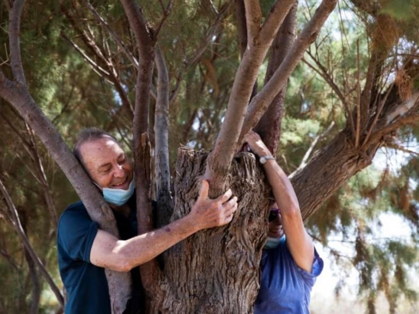 Teknika e përqafimit të pemës