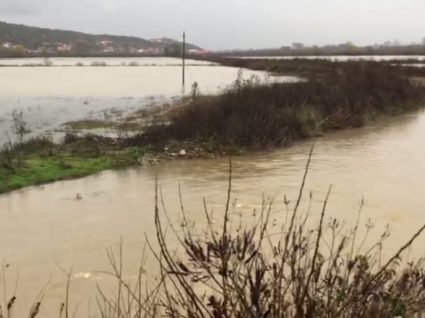 Përmbyten qindra hektarë tokë bujqësore në Shkodër