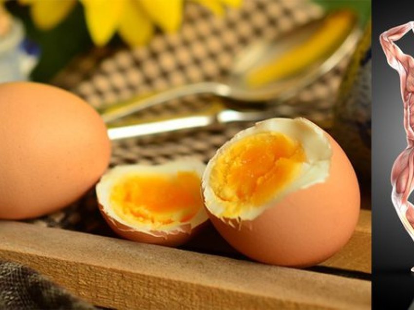 Një minierë e vërtetë vlerash ushqyese, e dini çfarë i ndodh trupit nëse hani vezë çdo ditë?