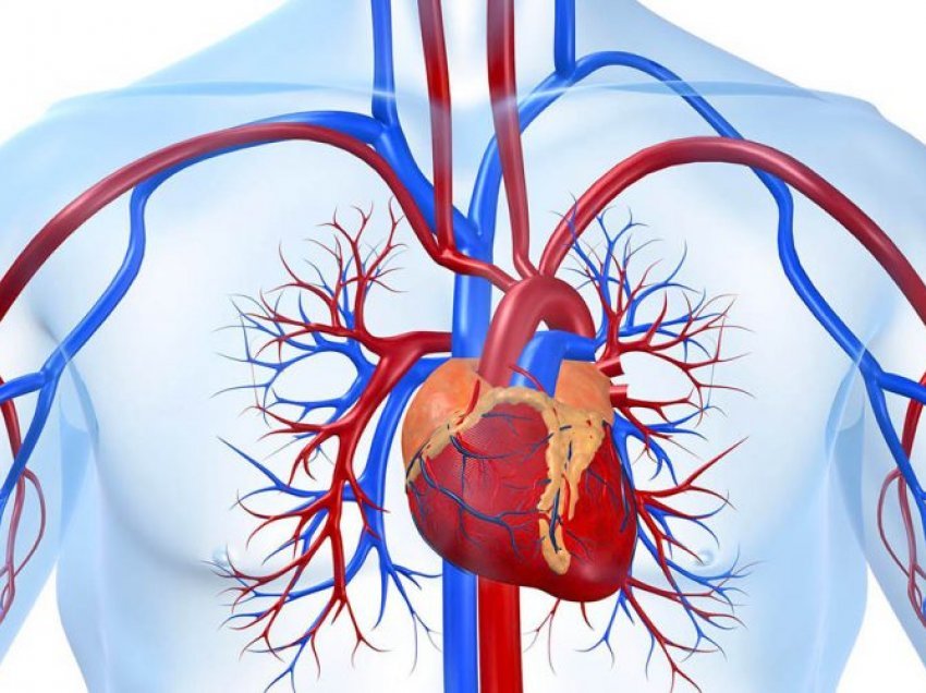 Tensioni i lartë para moshës 40 rrit rrezikun e problemeve të zemrës dhe trurit