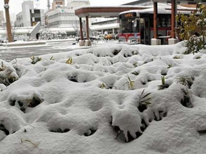 Mbi 100 fluturime, anulon bora e madhe në Japoni