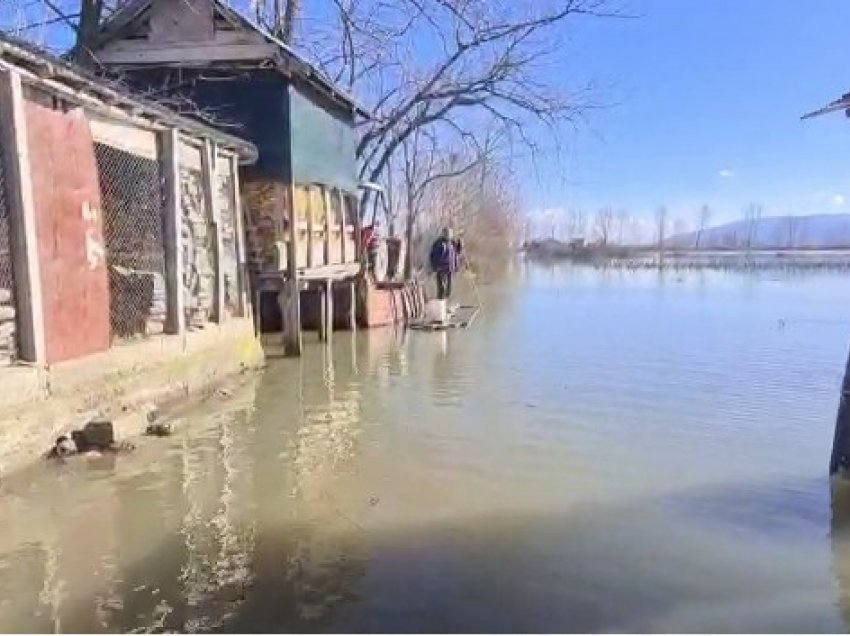 Shkodër/ Fillon të tërhiqet uji nga zonat e përmbytura, Bashkia vijon të kërkojë shpalljen e gjendjes së fatkeqësisë natyror
