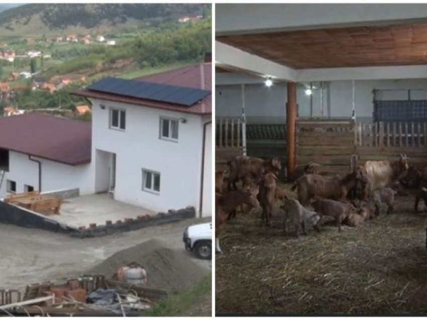 Keqpërdorimet me subvencione, fermeri nga Prizreni në prag të falimentimit – nuk mori paratë e grantit që nga viti 2017