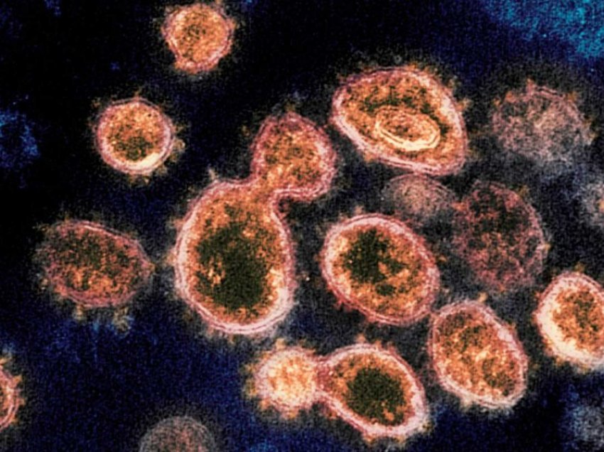Mutacionet e koronavirusit, ja si formohen