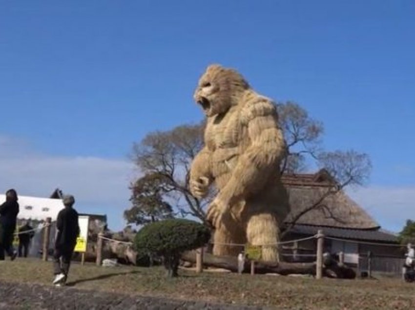 Qytetarët e dëshpëruar ndërtojnë një gorillë gjigante për të frikësuar Covid-19