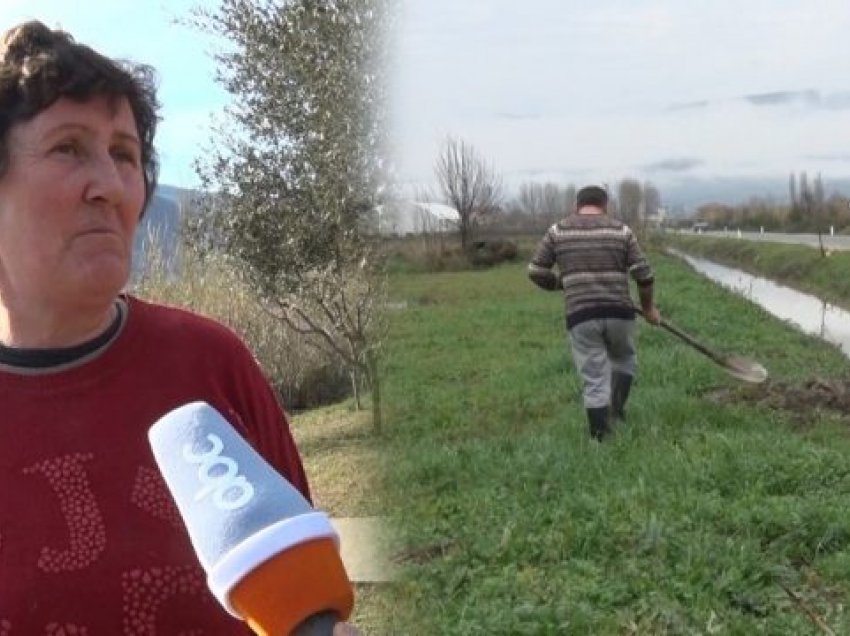 Përmbytjet/ Asnjë plan për të dëmshpërblyer fermerët në Lezhë