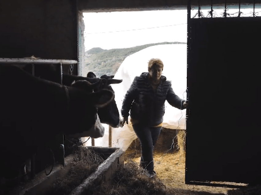 Flet fermerja që përfitoi subvencion: Si aplikova për akicizën ‘zero’ të naftës