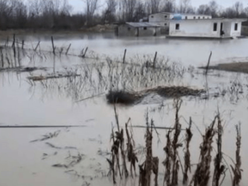 Përmbyten toka bujqësore në Fushë-Krujë, disa fshatra prej dy ditësh nën ujë