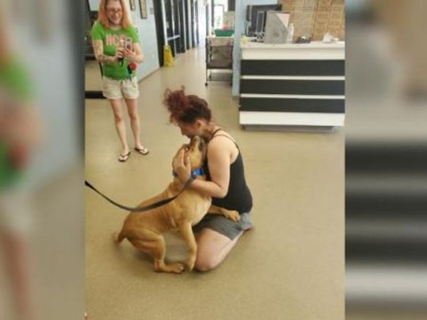 Do të adoptonte qen të ri, gruaja gjen qenin që i kishte humbur prej 2 vitesh