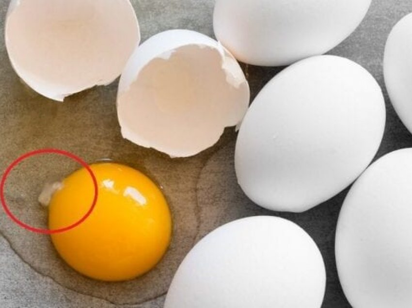 Çfarë do të thotë “njolla” e bardhë në vezë?