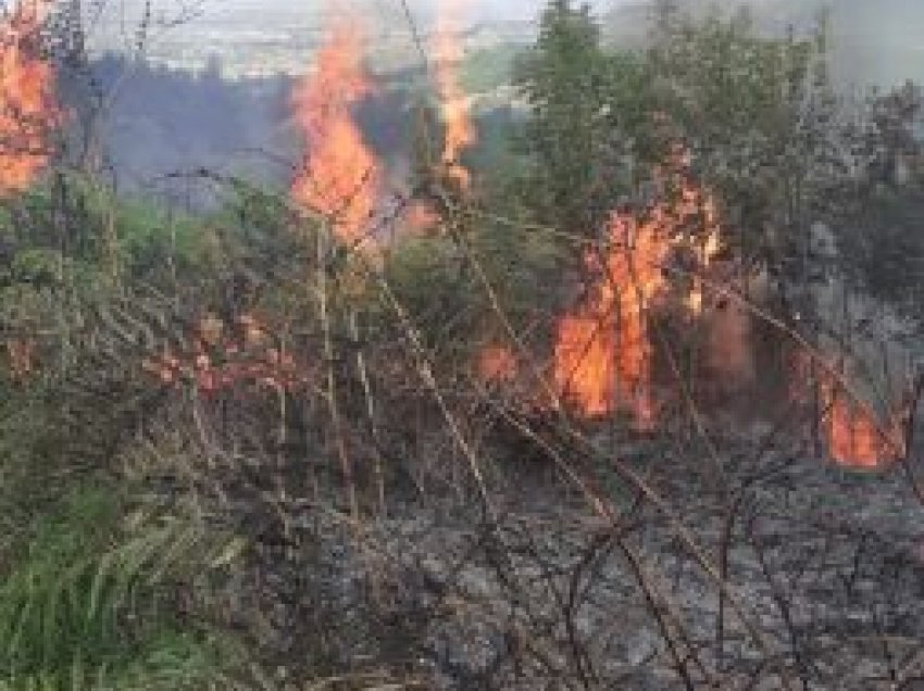 Punonjësi rrezikon jetën mes flakëve në pyllin e Gjorgosit, shpëtohet nga zjarrfikësit