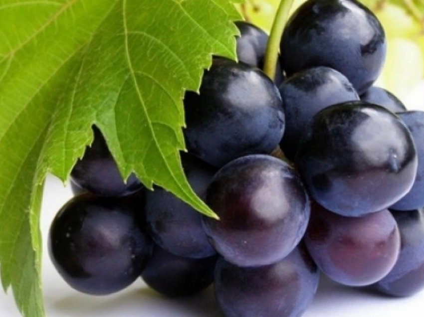 Rrushi zvogëlon shanset e oksidimit të acideve yndyrore