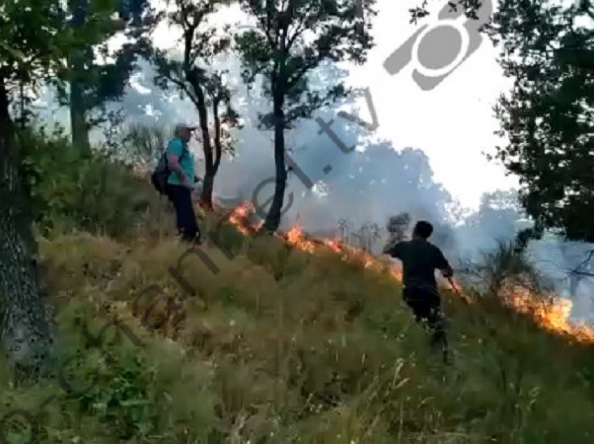 Nuk ndalen zjarret në Vlorë, digjen dhjetëra hektarë pemë në Tragjas