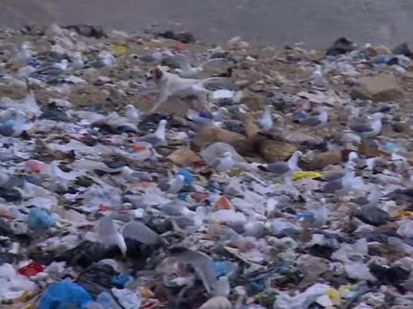 Landfilli i Sarandës/ Mbetjet depozitohen në një zonë 35 mijë metra katrorë