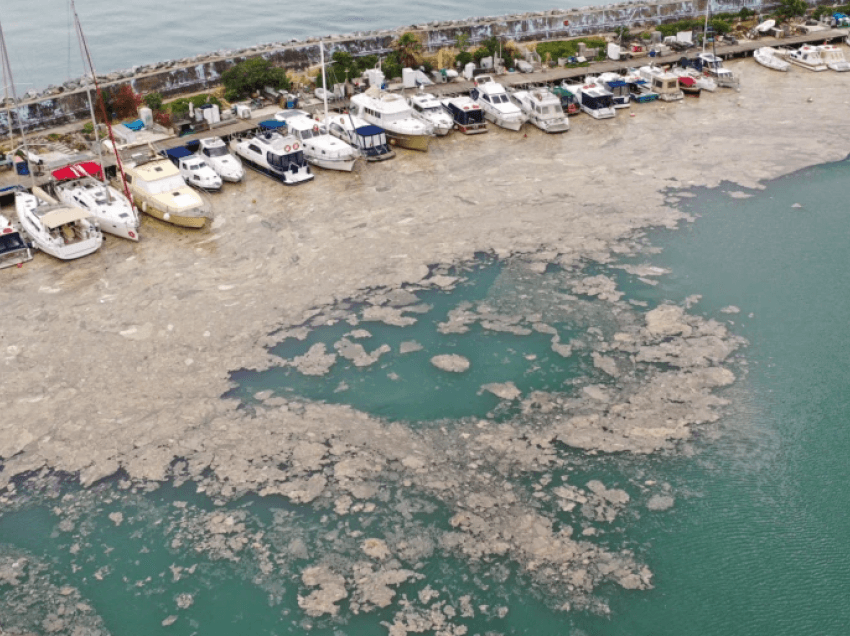 Turqia zotohet të pastrojë mukozën e detit në Marmare