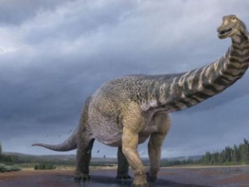 Zbulohet një nga dinozaurët më të mëdhenj në botë