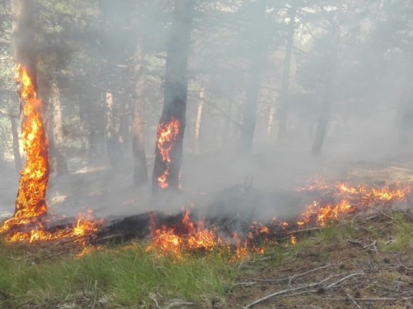Vazhdon të jetë aktive vatra e zjarrit në Vithkuq të Korçës
