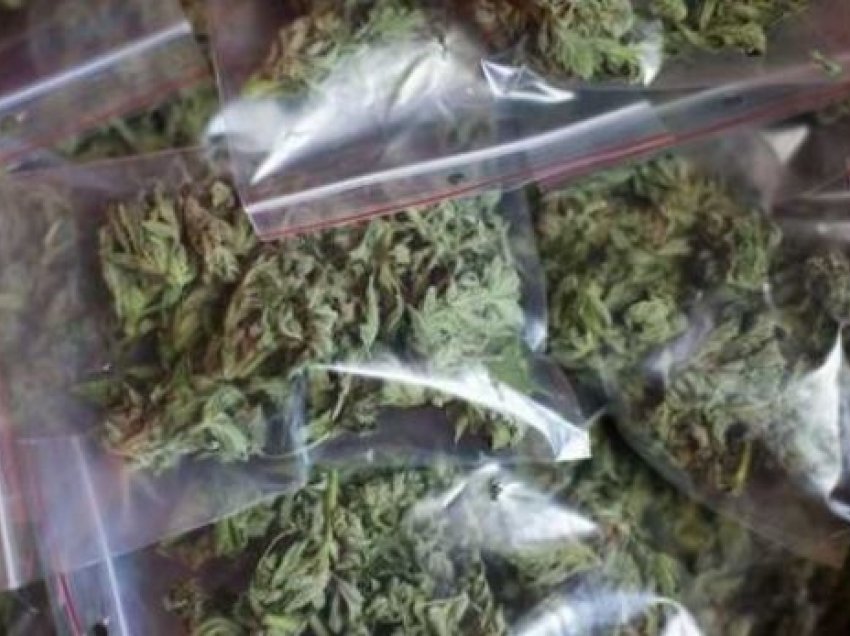 Mbi dy kilogramë marihuanë gjenden në një shtëpi në Prizren