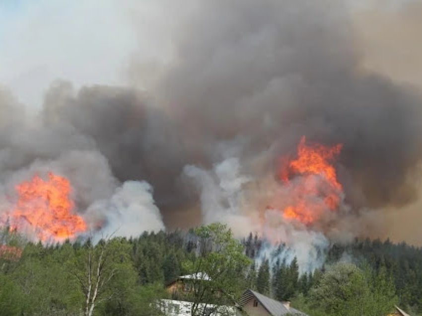 Persona të panjohur i djegin arën në Shajkofc të Podujevës
