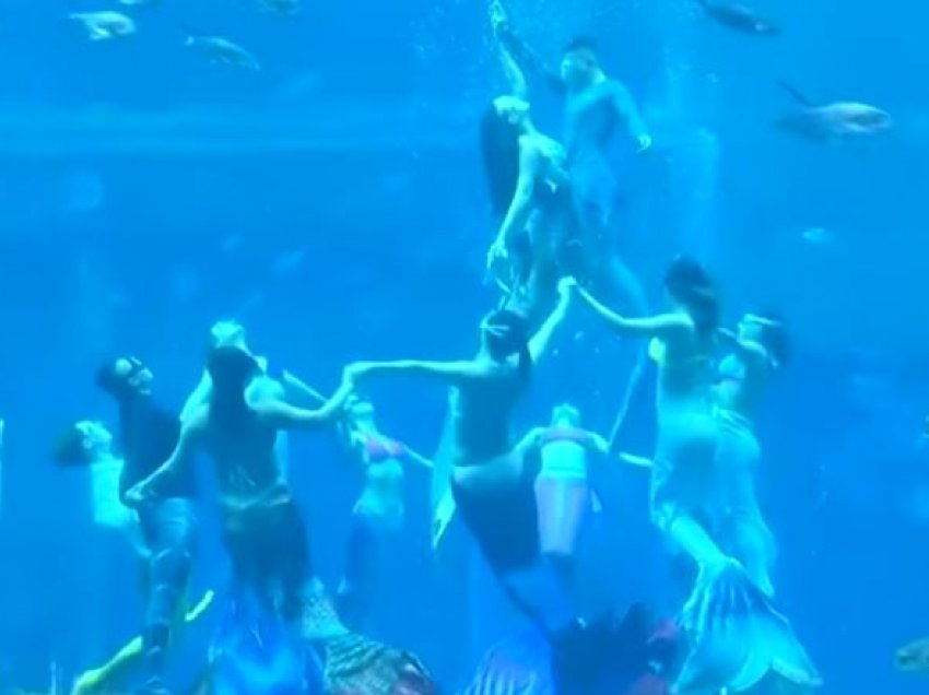 110 zhytës vendosin bishtin e Sirenës dhe dhurojnë shfaqje nënujore për rekordin Guinness