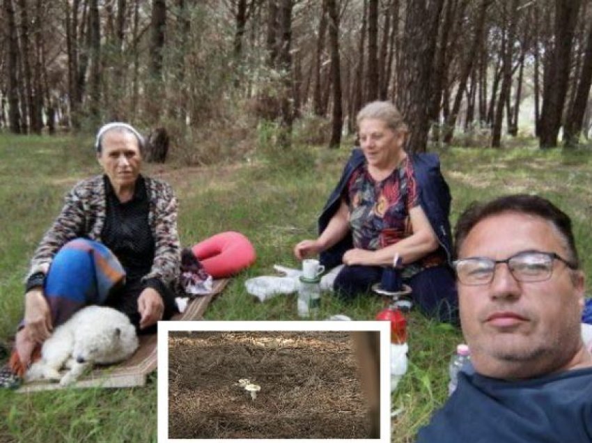 Detaje/ Këto janë kërpudhat helmuese nga të cilat dyshohet se vdiqën tre shqiptarët nga Kosova në Gjirin e Lalzit