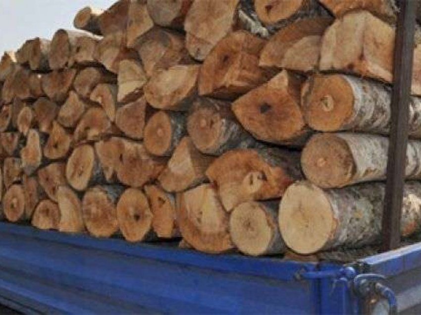Operacioni “Mbrojtja e pyjeve 2021”, policia arreston disa persona për prerje ilegale të druve 