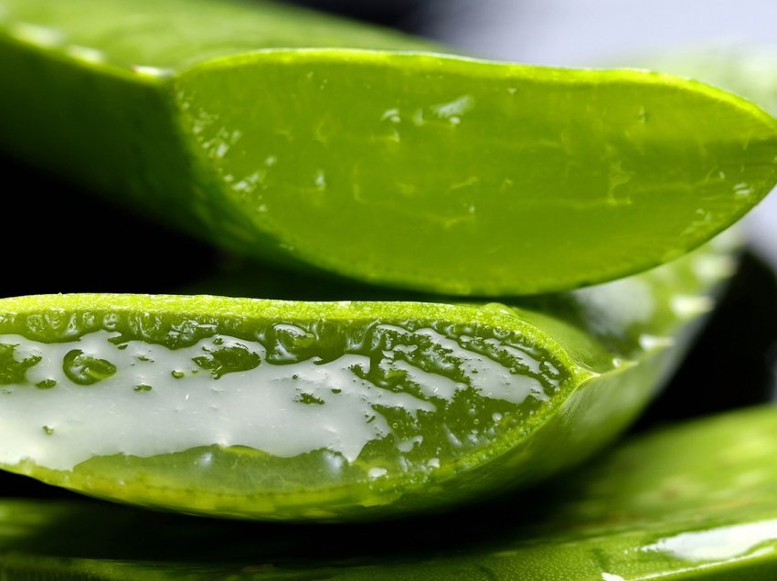 Si të përgatisni kremin me Aloe Vera dhe vitaminë E për lëkurë më të re