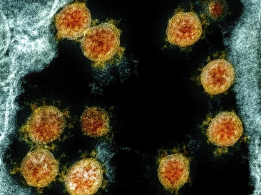 OBSh riemëron variantet e koronavirusit me shkronja greke