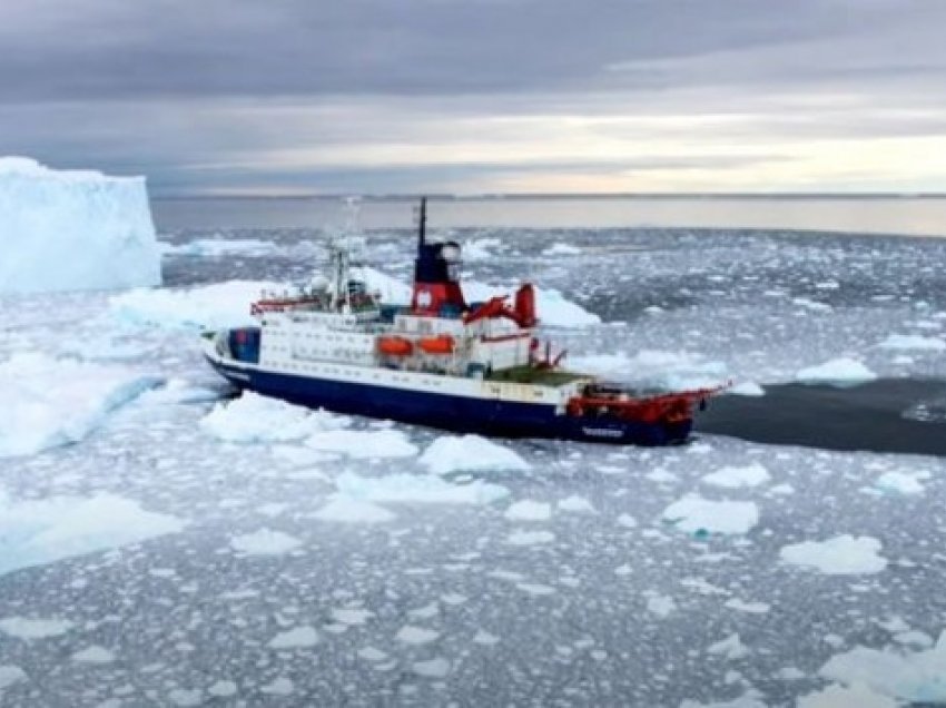 ​Shkencëtarët gjejnë prova të pyllit të lashtë të ngrohtë në akullin e Antarktikut