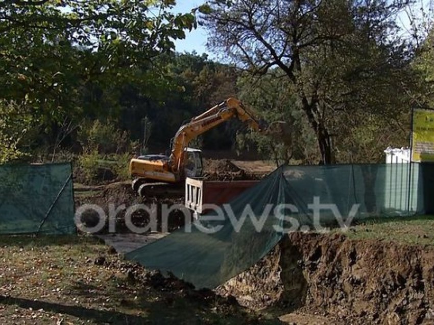 “Krimi i Veliajt te liqeni”, ambientalistët: Kryebashkiaku shtron pistat e vrapimit, pret pemët