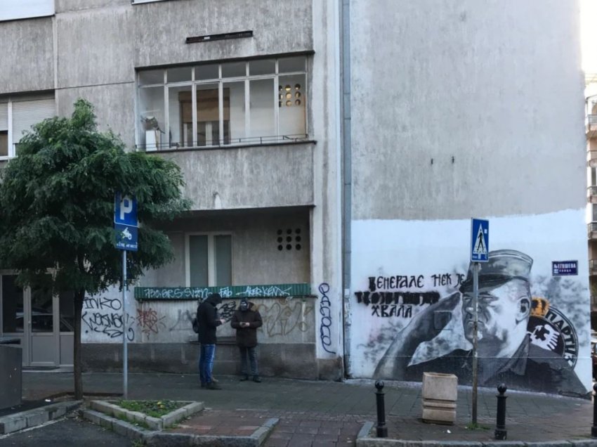 Ndalohet dhe lirohet aktivistja që hodhi vezë në muralin e Mlladiqit