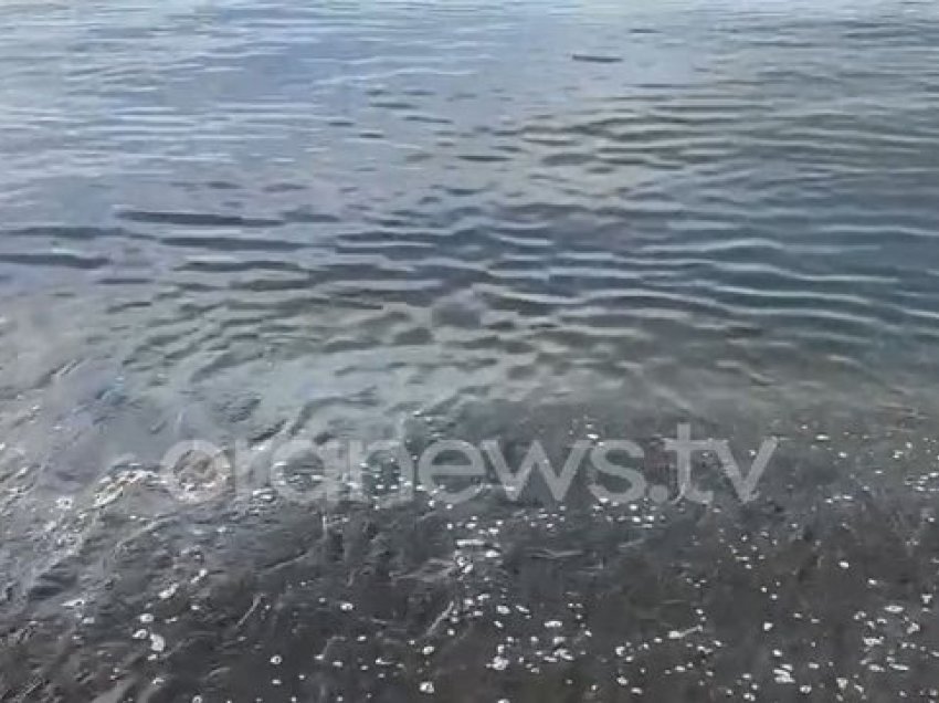 Sasi e madhe nafte derdhet ne bregdetin e Shëngjinit, era e rëndë 