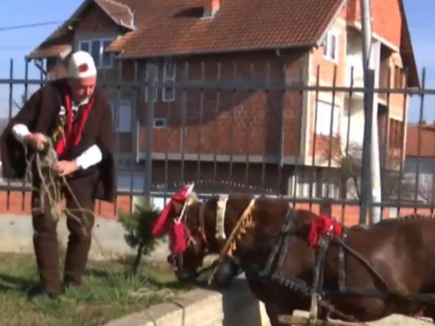 Qytetari nga Podujeva niset me kali për të votuar