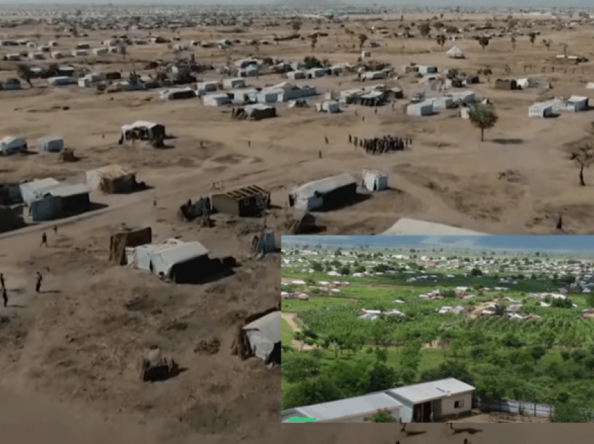 Refugjatët në Kamerun të Afrikës e kanë kthyer një kamp shkretëtire në një pyll të lulëzuar