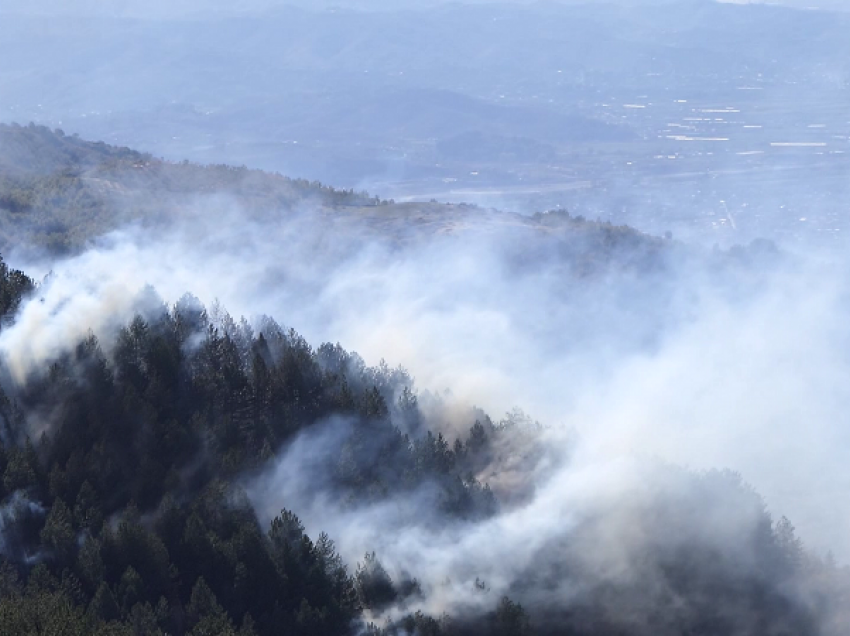 Zjarre në pyjet e Elbasanit/ Zjarri i qëllimshëm në zonën e Labinot- Mal