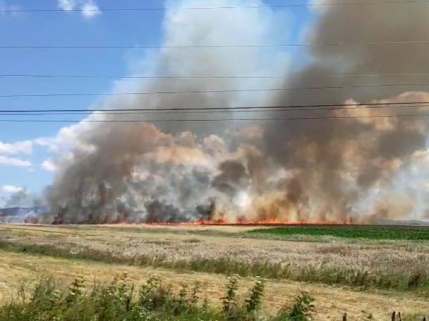 ​Zjarri përfshinë 10 hektarë tokë në Kamenicë