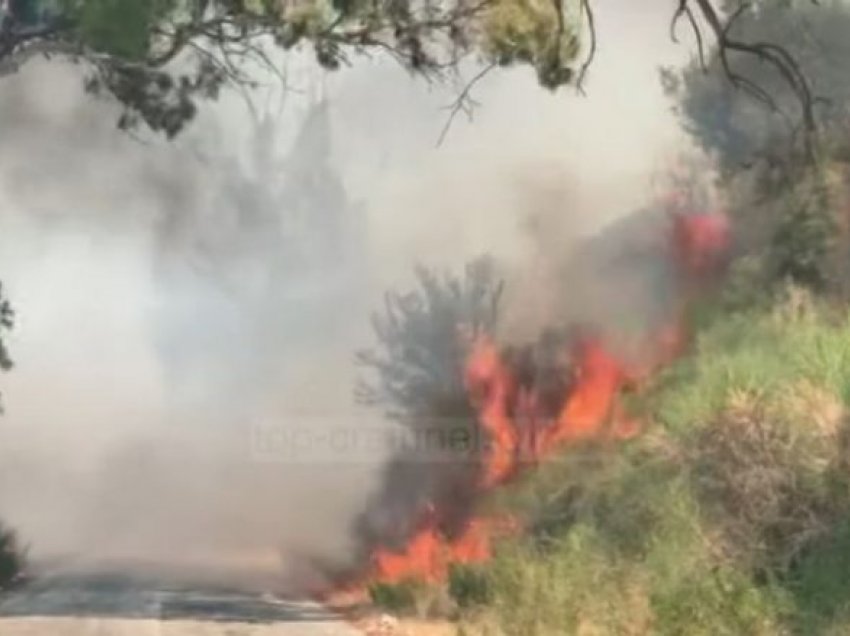Zjarri masiv në Vlorë, arrestohen dy punonjës pastrimi-nën hetim një 14-vjeçar
