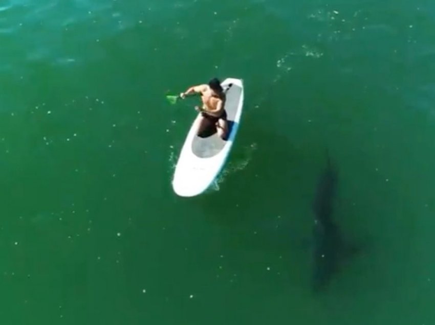 Orlando Bloom noton në brigjet e Malibu, teksa qëndron afër një peshkaqeni 