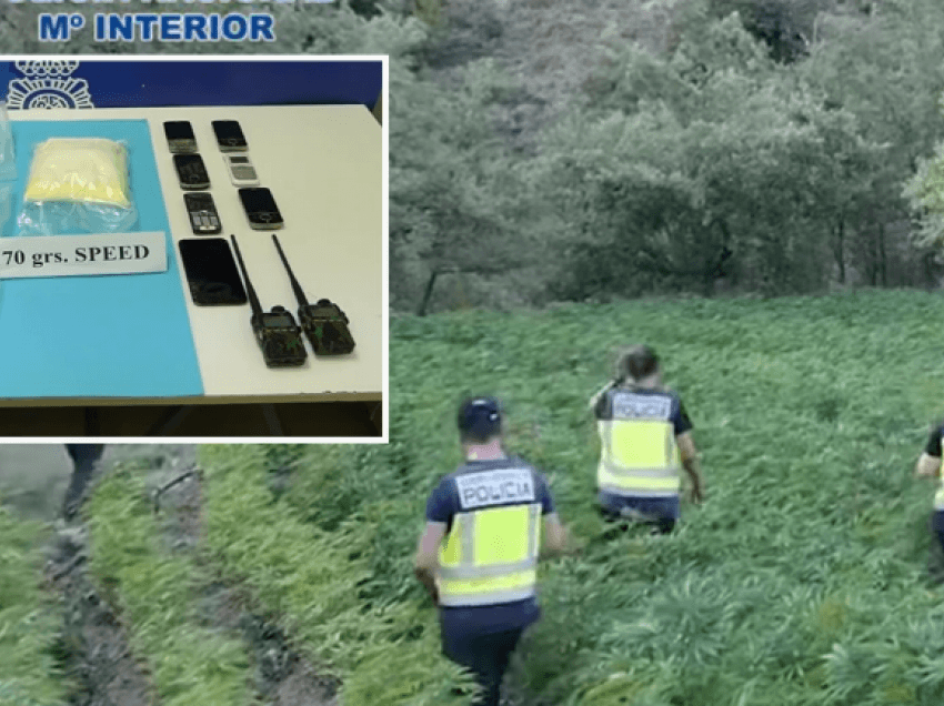 Zbulohet një tjetër fermë kanabisi në Spanjë, arrestohen 12 shqiptarë e vendas, mes tyre edhe gra