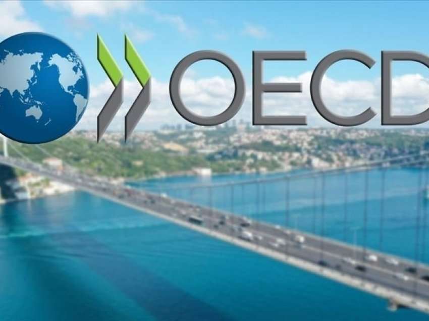 Inflacioni vjetor në zonën e OECD-së arriti në 7,7 për qind