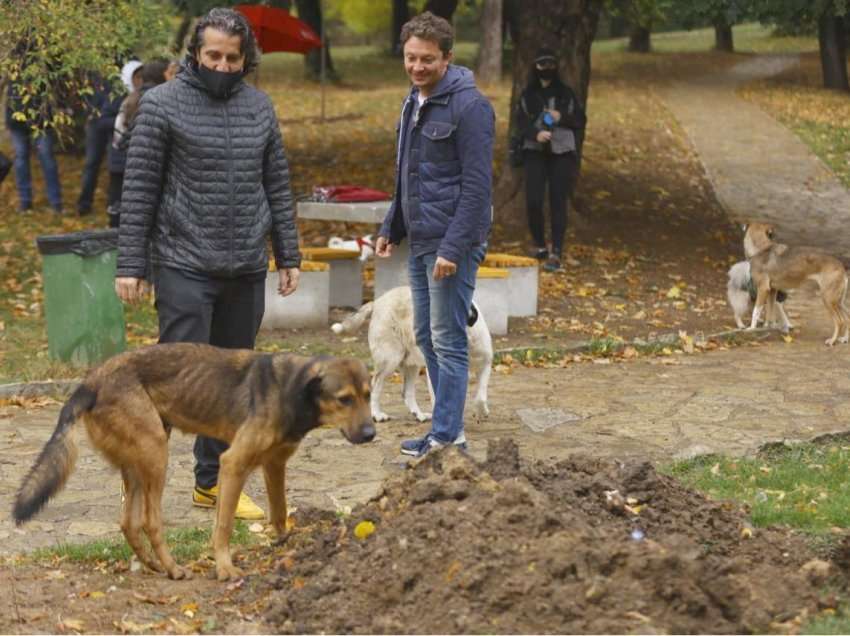 Bajqinovci: Problemi i qenve endacakë nuk mund të zgjidhet veç nga Komuna e Prishtinës