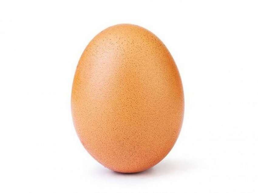 Një vezë në ditë zgjat jetën