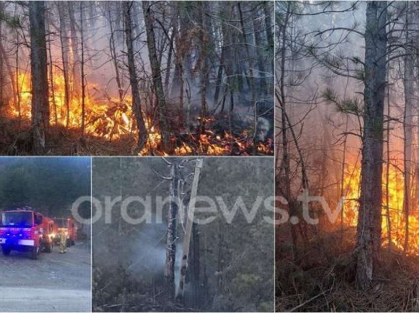 Shtylla e tensionit të mesëm i vë zjarrin pyllit në Voskopojë