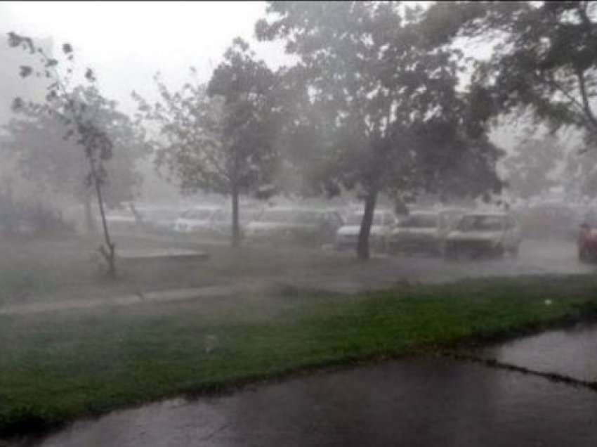 Stuhitë “pushtojnë” Vlorën, bashkia paralajmëron qytetarët
