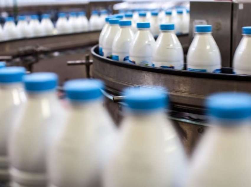 Shtrenjtohet qumështi i fermerit 50%! Shoqata e Përpunuesve: Rrezikohet falimentimi i fabrikave