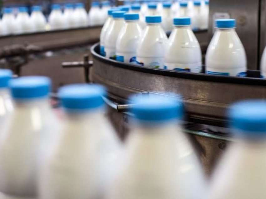Nga 1 gushti çmimet e qumështit dhe kosit rriten sërish me 11%, krizë për djathë në treg
