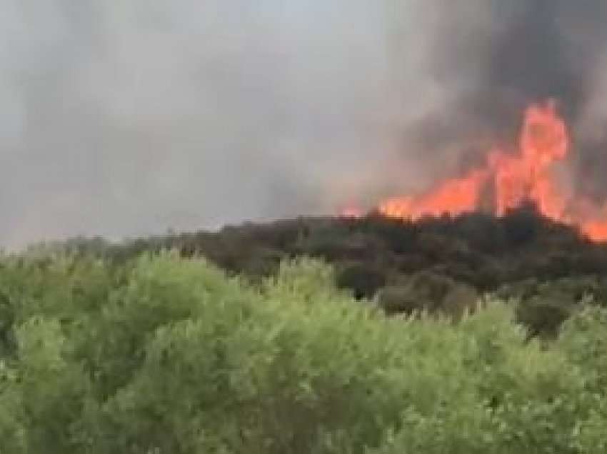 “Digjet” Shqipëria/ Dy vatra të reja zjarri në Krujë, katër zjarrfikëse në luftë në flakët