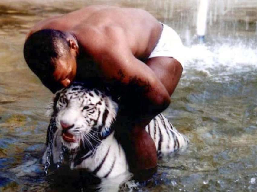 Historia e tigrave të Mike Tysonit