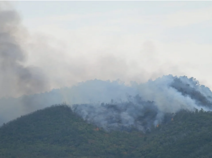 Përfshihet nga flakët mali në Rrubik, terreni i thyer vështirëson punën e zjarrfikësve
